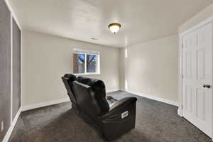 Office with carpet floors and a textured ceiling