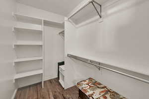 Spacious closet featuring dark wood finished floors