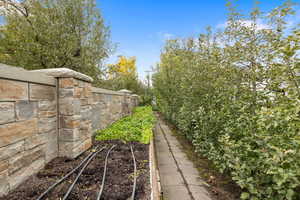 View of yard with a vegetable garden