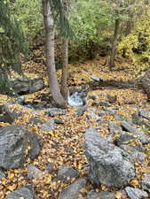 View of undeveloped land
