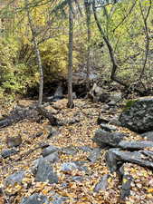 View of undeveloped land