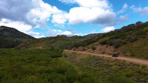 View of mountain backdrop with a heavily wooded area