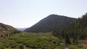 View of mountain background featuring a heavily wooded area