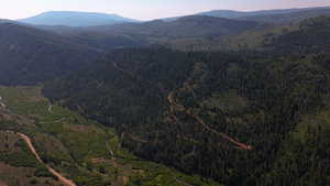 View of mountain backdrop featuring a forest