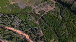 Aerial view of property's location featuring a heavily wooded area