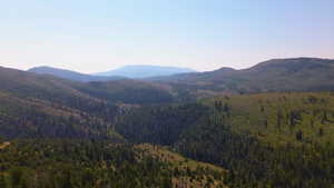 View of mountain backdrop featuring a forest