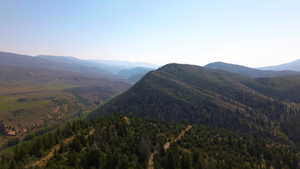 View of mountain background featuring a heavily wooded area