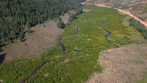 Aerial overview of property's location with a heavily wooded area and a large body of water