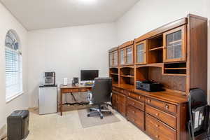 Office space featuring light carpet