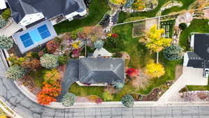 Bird's eye view of a pool area