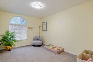 Recreation room featuring carpet floors and a textured ceiling