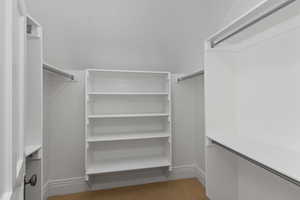 Spacious closet featuring light carpet