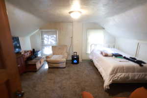 Bedroom with lofted ceiling and carpet flooring