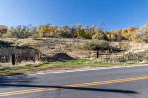 View of asphalt street with view of wooded area
