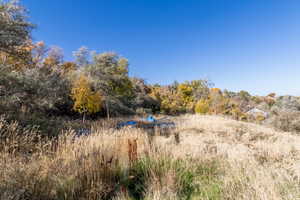 View of undeveloped land