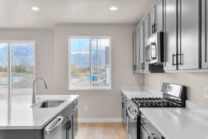 Kitchen featuring gray cabinetry, stainless steel appliances, light wood-style floors, a mountain view, and recessed lighting