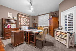 Craft room or office featuring light carpet and rail lighting