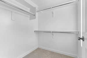 Spacious closet featuring light carpet