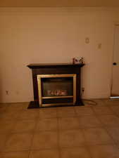 Detailed view of a glass covered fireplace and crown molding