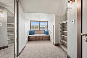 Sitting room with light carpet, a textured wall, and lofted ceiling