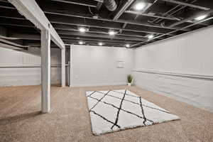 Finished below grade area featuring wooden walls and light colored carpet