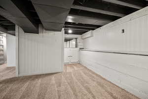 Finished basement with wood walls and light colored carpet