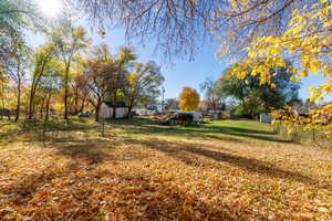 View of yard featuring a shed