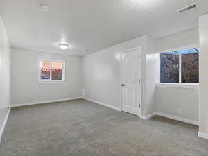 2nd basement bedroom