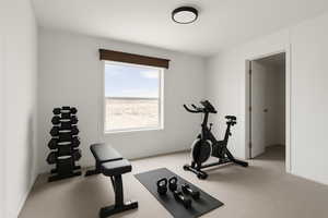 Workout area featuring light colored carpet