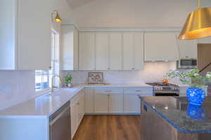 Kitchen featuring white cabinetry, dark wood finished floors, backsplash, stainless steel appliances, and dark stone countertops