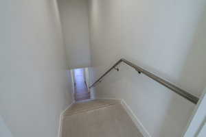 Staircase with carpet and baseboards