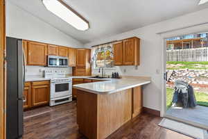 SS appliances, new disposal, and amazing single basin sink with waterfall spout sprayer, produce and cup washer, & strainer insert, plus new LVT flooring