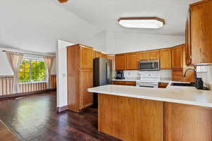 SS appliances, new disposal, and amazing single basin sink with waterfall spout sprayer, produce and cup washer, & strainer insert, plus new LVT flooring