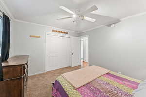Bedroom with a textured ceiling, crown molding, a closet, carpet flooring, and a ceiling fan