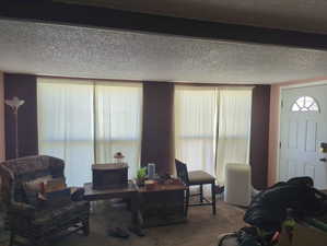 Carpeted living area with a textured ceiling