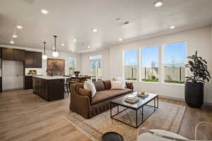 Living area featuring light wood-type flooring and recessed lighting