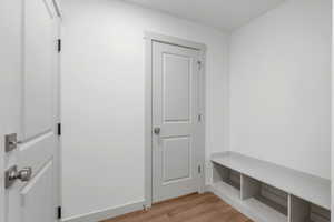 Mudroom featuring light wood-type flooring