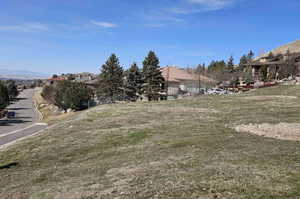 View of yard with a residential view