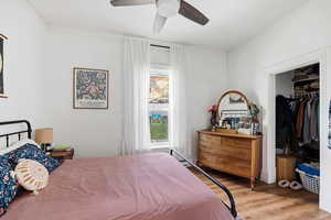 Bedroom featuring light wood finished floors, a spacious closet, and a ceiling fan