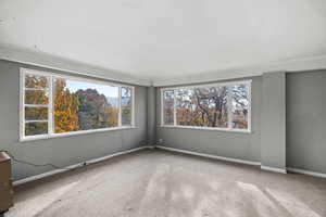 Empty room featuring carpet and plenty of natural light