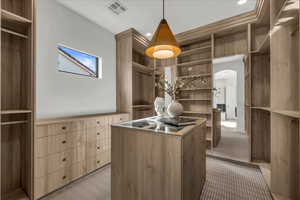 Primary Suite Walk in closet featuring arched walkways and light carpet