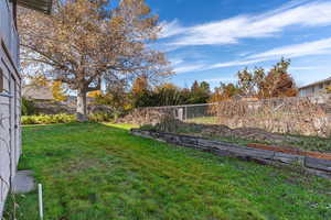 View of fenced backyard