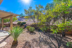View of fenced backyard