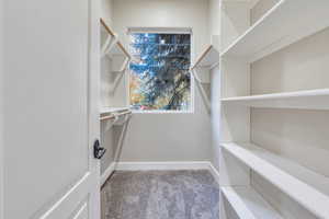 Walk in closet featuring carpet flooring
