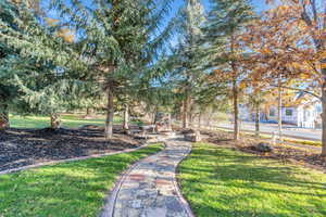 Surrounding community with a lawn