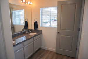 Bathroom featuring double vanity, plenty of natural light, and dark wood finished floors
