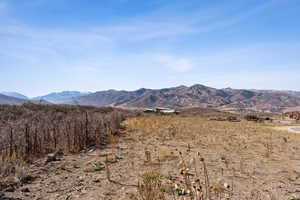 View of mountain background with rural landscape