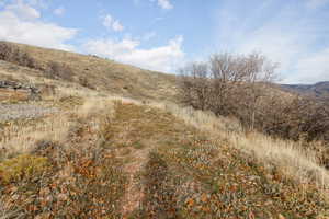 View of undeveloped land