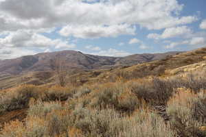 View of mountain background