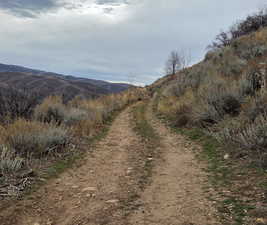View of mountain background